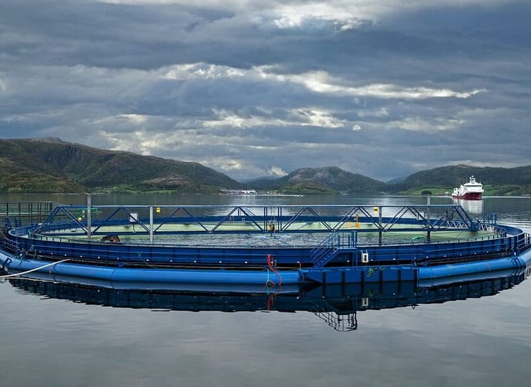 Aquatraz semi-lukket stålmerd