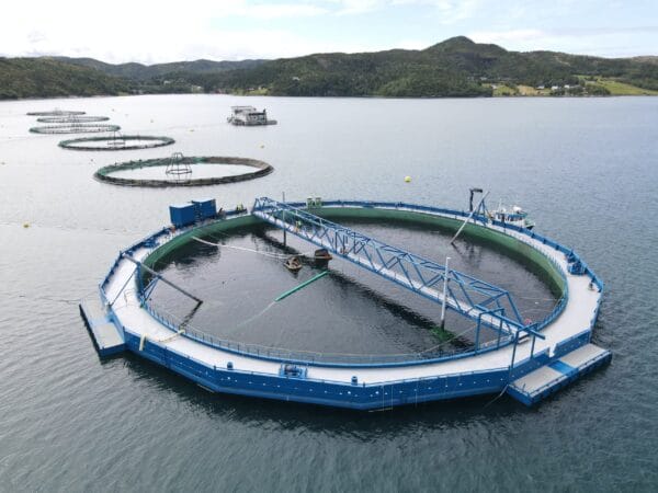 Aquatraz semi closed fish cage in conventional mooring system